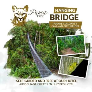 Lost Iguana Resort and Spa