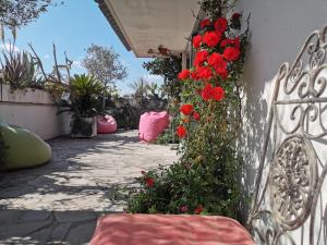 HouseGardenFleming