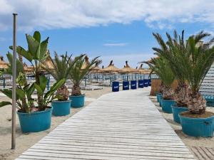 Glory Studio Mamaia Nord