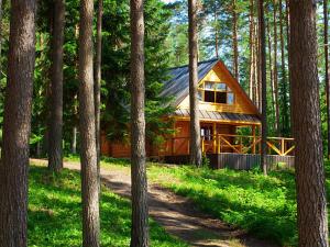 The Cabin in the Woods