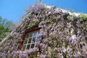 B&B De Hagmolenbeek Boekelo - Usseloo