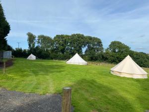 Hendre Glamping Retreat, The Rabbit Warren