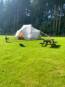 Hendre Glamping Retreat, The Rabbit Warren