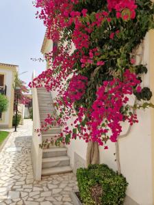 Apartamento ESQUINA VERDE en Vera Coast