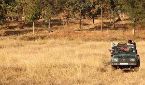 Safari Homes by Secret TurtleProjectorSafariBBQ