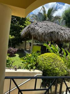 Marvette Ocean view