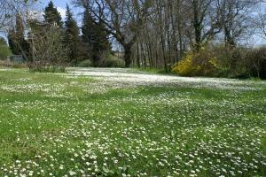 Casa il Girasole con piscina nelle Marche