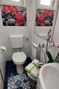 Family-friendly apartments with swimming pool Pula - 24352