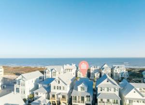 Sandy Cheeks 409 COA