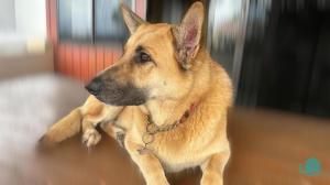 Rosies Family Spa Retreat - 300m to the sandy shores of Caves Beach