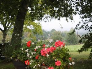 Maison en pierres au cœur du Périgord Noir avec Wifi et animaux bienvenus - FR-1-616-71