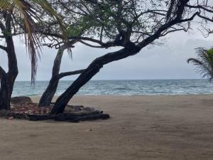 Cabaña frente al mar en la playa del Calao