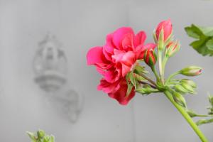 Apartamentos San Fernando 76