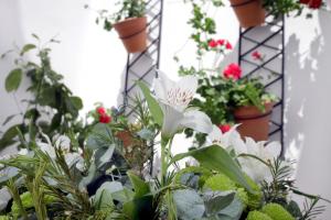 Apartamentos San Fernando 76