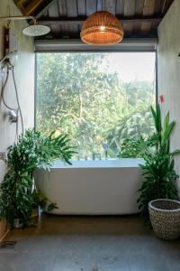 Dancasa Horse Farm & Homestay