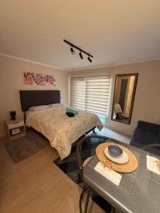 Departamento estudio en el centro de Temuco