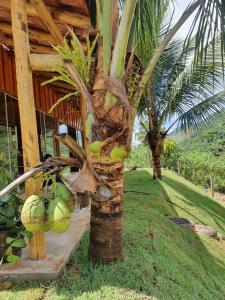 Chalé das Pedras - Refúgio de Paz em meio à Natureza