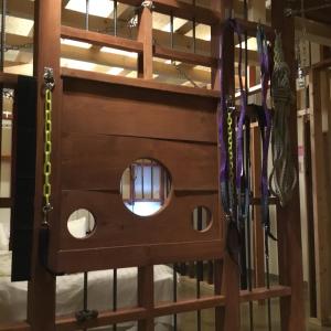 Hotel Vegas (Adult Only)