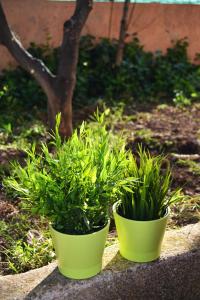 Casa Vacanze Mura img86