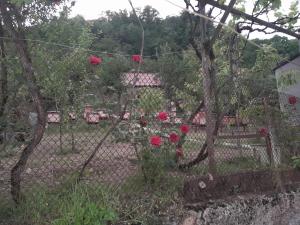 Guest house Mekvena