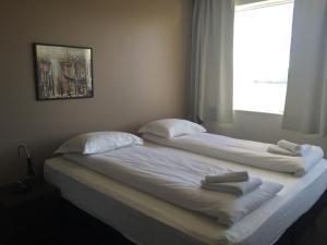 North Star Apartments Rif