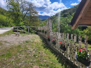 Antić apartmani Stara planina