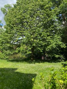 Appartements 36 m2 2-room apartment, parking, fiber internet, near metro, Literie Bultex : photos des chambres
