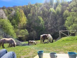 Antić apartmani Stara planina