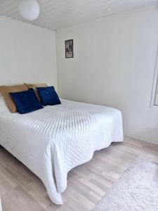 Villa Mosahiisi Charming Poolside Getaway