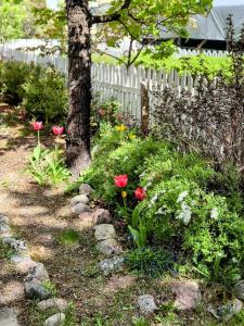 Villa Mosahiisi Charming Poolside Getaway