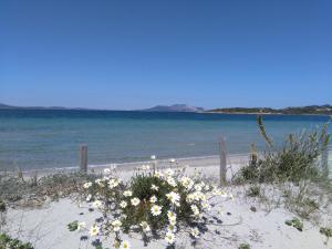 Casa Marina Maria img33