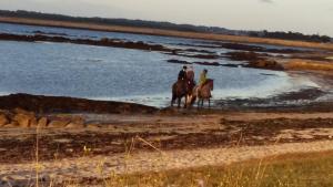 B&B / Chambres d'hotes Kerstunt Chambre d'hotes Relais Motards : photos des chambres