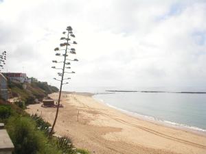 Guadalupe Boutique Hotel, Avenida Trafalgar 56, 11159 Los Canos de Meca, Cadiz, Spain.