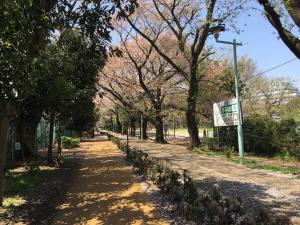 Eco Family Oasis in Tokyo Easy Access to Shinjuku