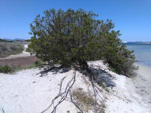 Casa Marina Maria img44