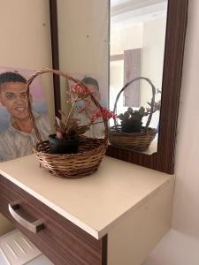 cecilia resort hurghada