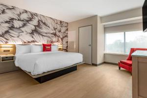 King Suite with Sofa Bed - Non-Smoking room in Cambria Hotel Rock Hill - University Center