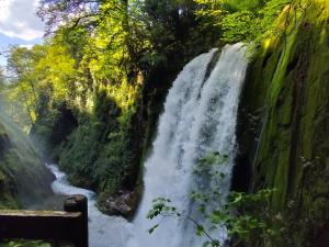 Appartements Mailh- Massibe T2 5 pers climatisation piscine couverte linge de maison inclus parking jardin clos : photos des chambres