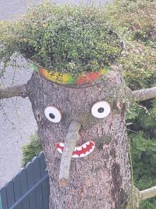 Apartamencik Pod Krokusem