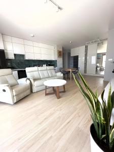 Mimosa Kraków Apartment