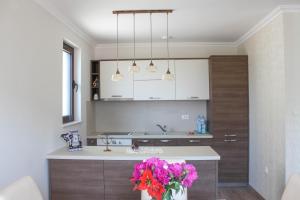 Apartment Golubović Kotor