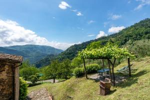 Fattoria di Pietrabuona