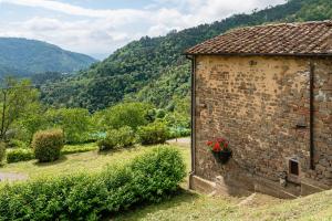 Fattoria di Pietrabuona