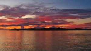 Twin Palms Villa and Homestay