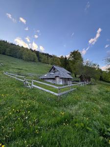 Mountain Lodge Suška Koča