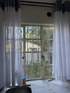 Victoria Shore Nest!