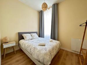 Appartement - 1 chambre - Centre-ville