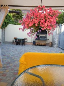 Домик у моря