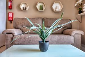 Spacious, fully equipped 4BR in Pietà with WIFI & AC by 360 Estates