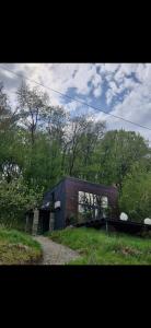 Forest Studio Corunca